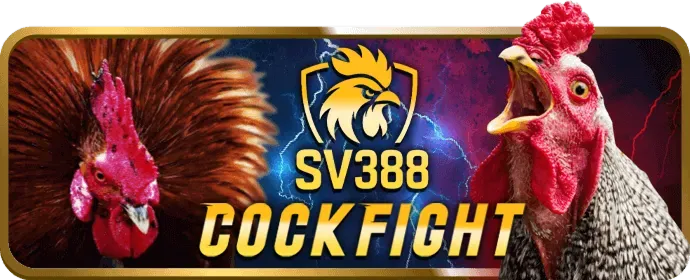 Các loại kèo cược đá gà phong phú tại hit club ios